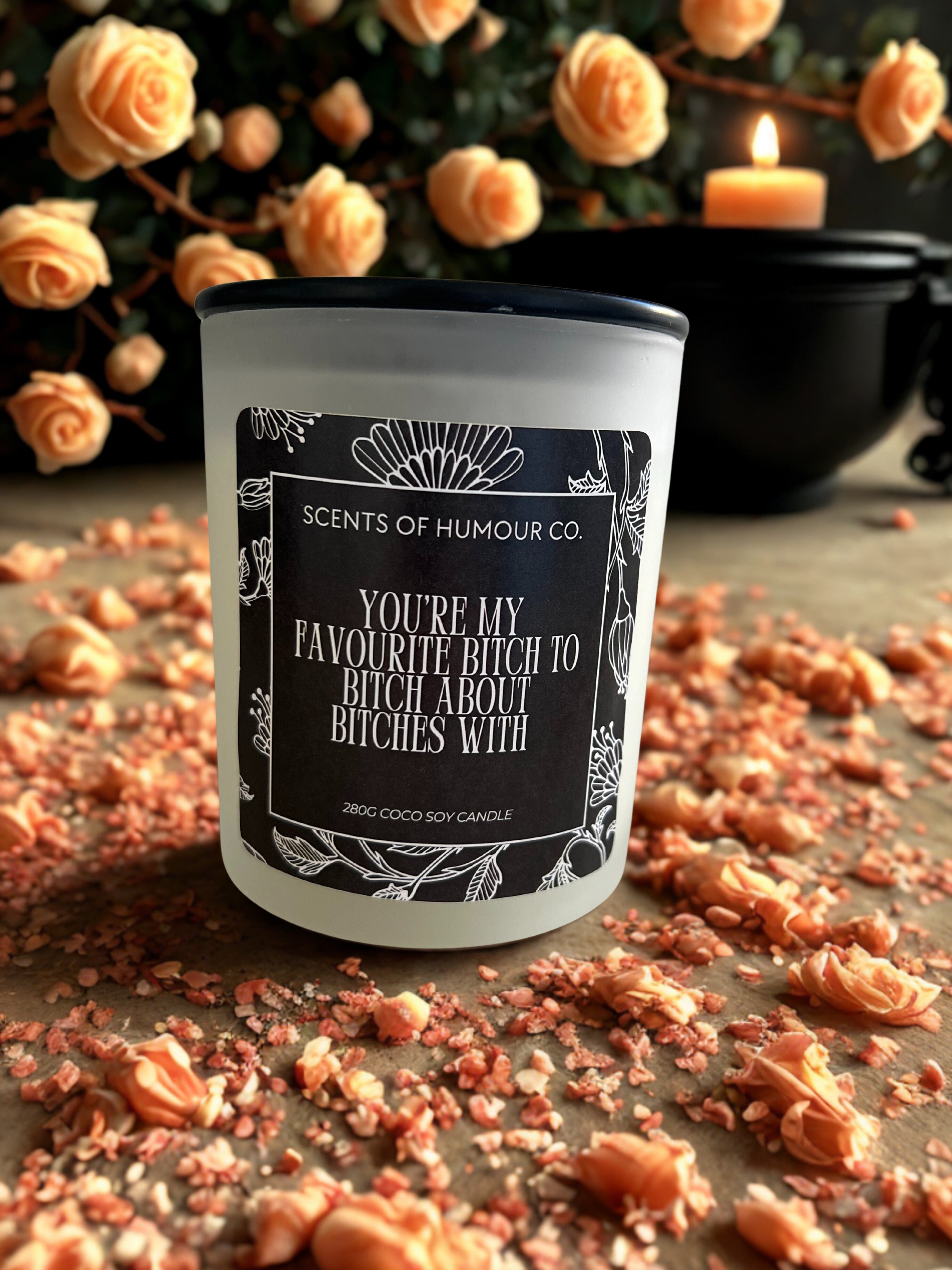 You're My Favourite Bitch to Bitch About Bitches With.